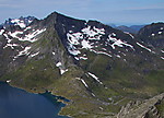Sunnavindsnipa Sunnavindsnipa
