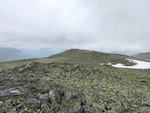 Gråskarvet Nord Gråskarvet Nord