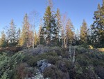 Fageråsen Fageråsen