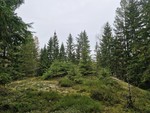 Nilsåsen Nilsåsen