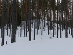 Flomyra Nord Flomyra Nord