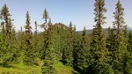 Skramsliberget nord Skramsliberget nord
