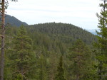 Berget Berget