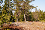 Vangsåsen Vangsåsen