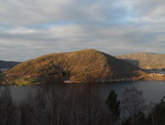 Selsnuten Selsnuten