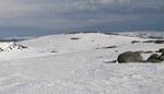 Øst for Langtjernkollen Øst for Langtjernkollen