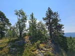 Svarttjernhaugen Svarttjernhaugen