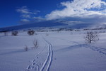 Kjemåfjellet Kjemåfjellet