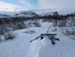 Fagerlihovda Fagerlihovda