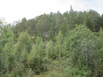 Storåsen Storåsen