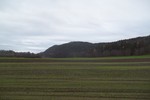 Ringiåsen Ringiåsen