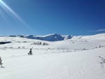 Jørenskardfjellet Jørenskardfjellet