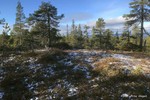 Nygardshauga Nygardshauga