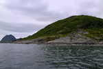 Kollen Kollen