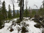 Myrerkollen Myrerkollen
