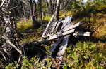 Støpa Støpa