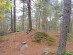 Meierkollen Meierkollen