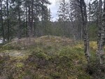 Furumokollen Furumokollen