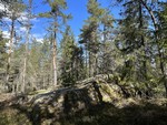Skogbakkåsen Skogbakkåsen