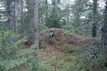 Maråsen Maråsen