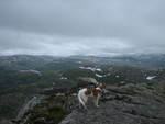 Kringdalsnipa Kringdalsnipa
