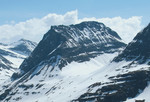 Navardalsnebba Navardalsnebba