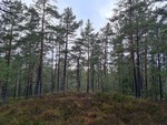 Seteråsen Seteråsen