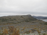 Vonsjøgusten Vonsjøgusten