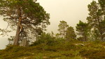 Litlgavllangen Litlgavllangen