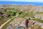 Lyngsneshesten Lyngsneshesten