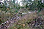 Seteråsen i Øvre Eiker Seteråsen i Øvre Eiker