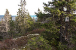 Grasdalskollen Grasdalskollen