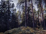Knefallmåsaberget Knefallmåsaberget