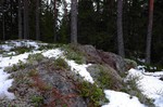 Hanatjennberget Hanatjennberget