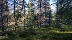 Sjøsæterhøgda punkt 754 Sjøsæterhøgda punkt 754