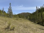 Spøtthatten Spøtthatten
