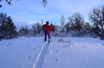 Lauvåshaugen Lauvåshaugen