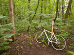 Eikeskogen Lunden Eikeskogen Lunden