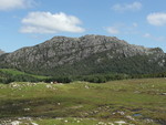 Kvelvane Kvelvane