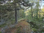 Sør for Kverntjern Sør for Kverntjern