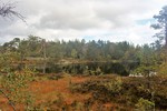 Tretjernåsen Tretjernåsen