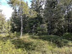 Seterberget Seterberget