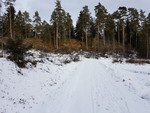 Hagaåsen Hagaåsen