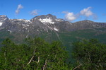 Skrommelnebba Skrommelnebba