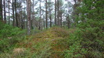 Bukkaberget Bukkaberget