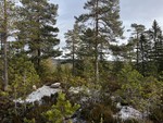 Elneshøgda Elneshøgda