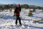 Storfurvarden Storfurvarden