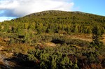 Auenhaugen Auenhaugen