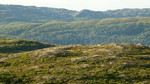 Fjellvassheia Fjellvassheia