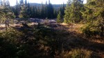 Nordre Sjogevatnet, nord for Nordre Sjogevatnet, nord for